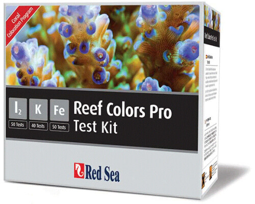 Red Sea Reef Colors